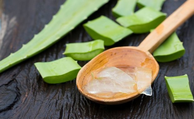 ALOE VERA BİTKİSİNİN FAYDALARI NELERDİR?