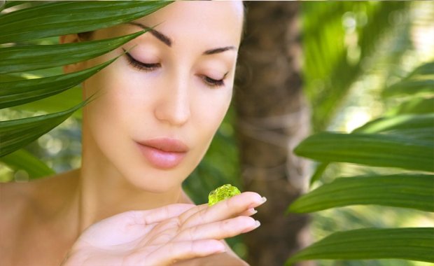 ALOE VERA HAKKINDA KISA BİLGİ